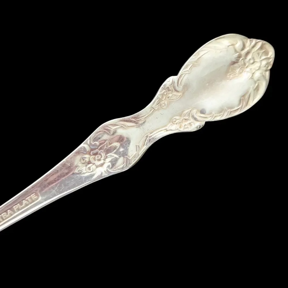 William Rogers Mfg Co GRAND ELEGANCE Serving Spoon & Fork Silverware Extra Plate